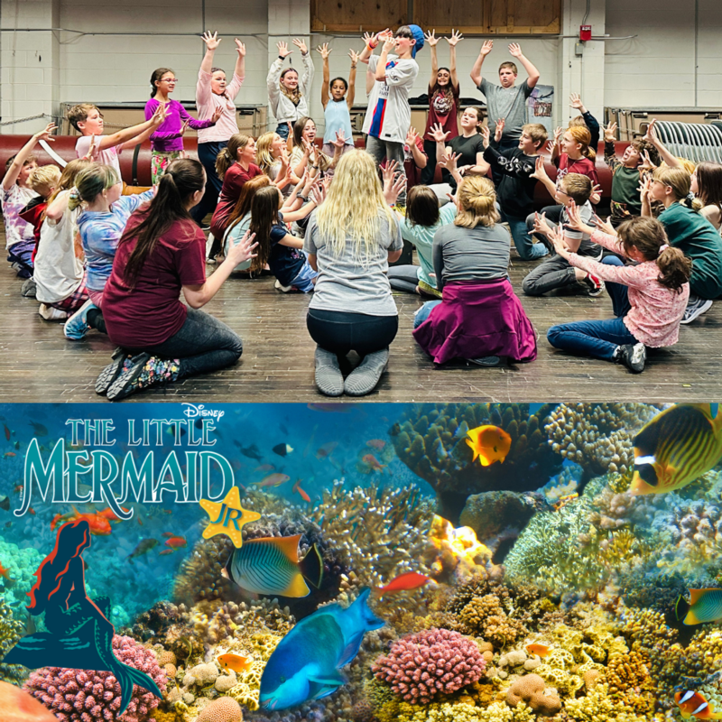 LMermaid Jr