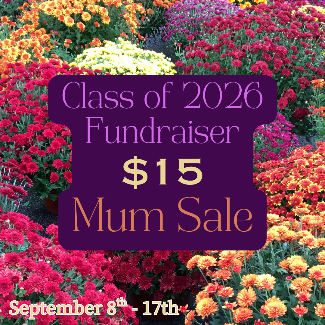Mum fundraiser