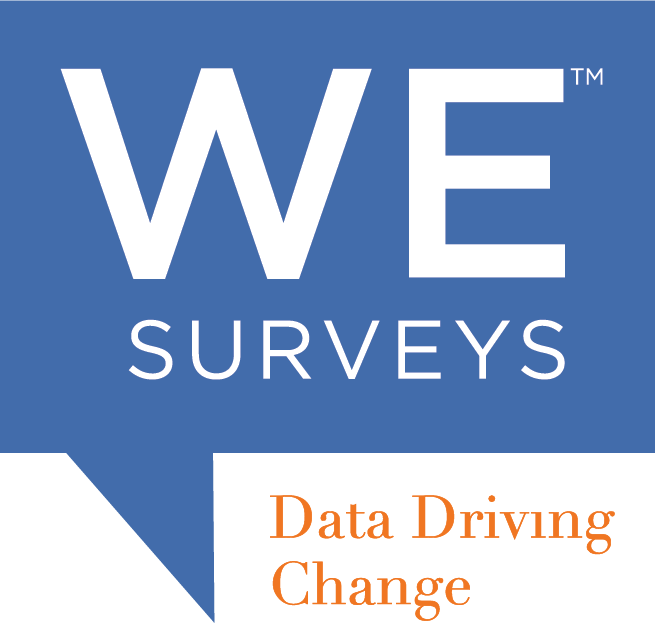 We Survey Logo