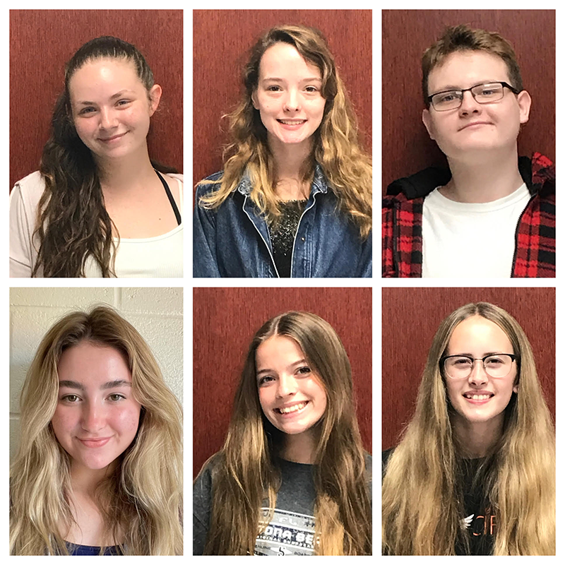 Six-photo collage of students